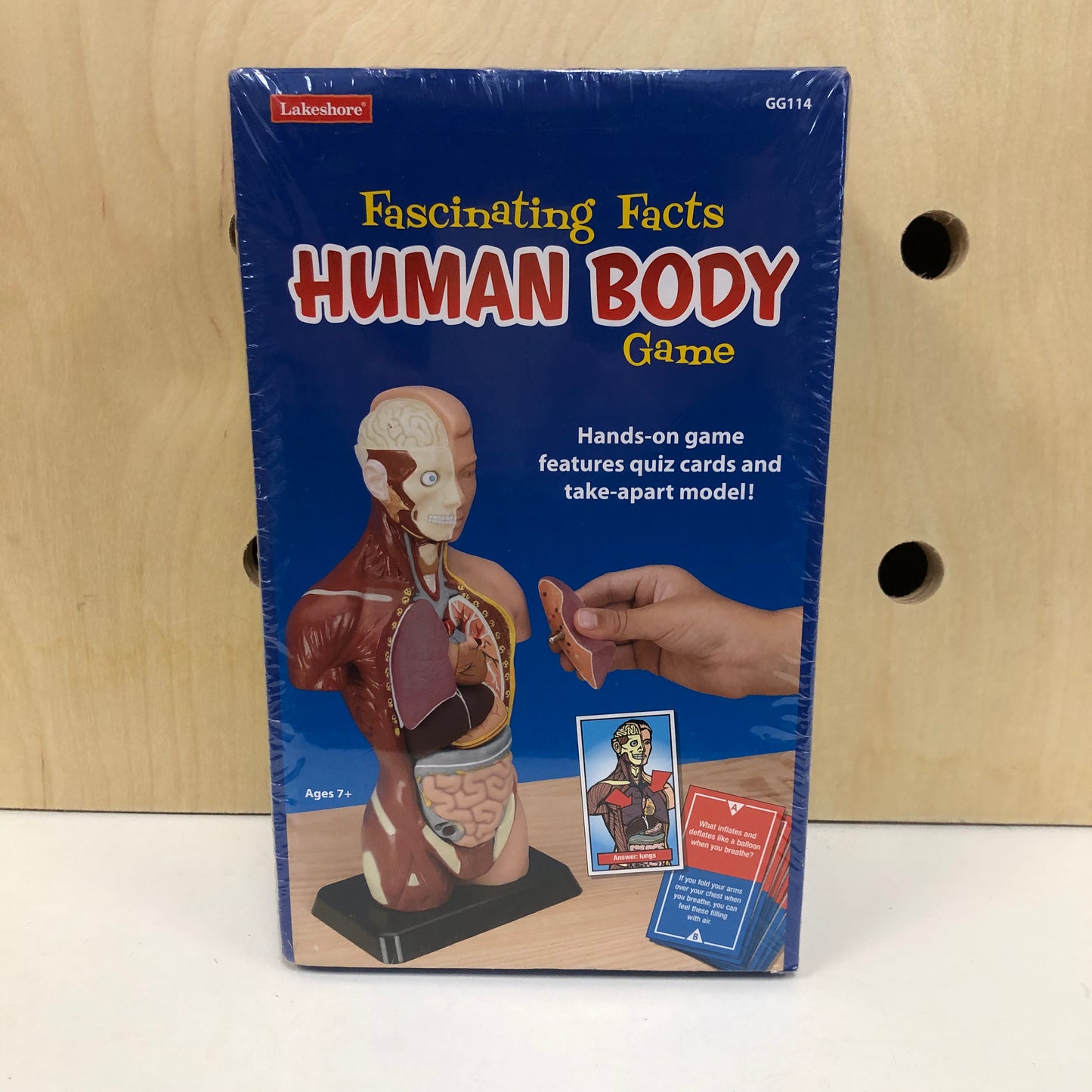 Fascinating Human Body Game NEW!