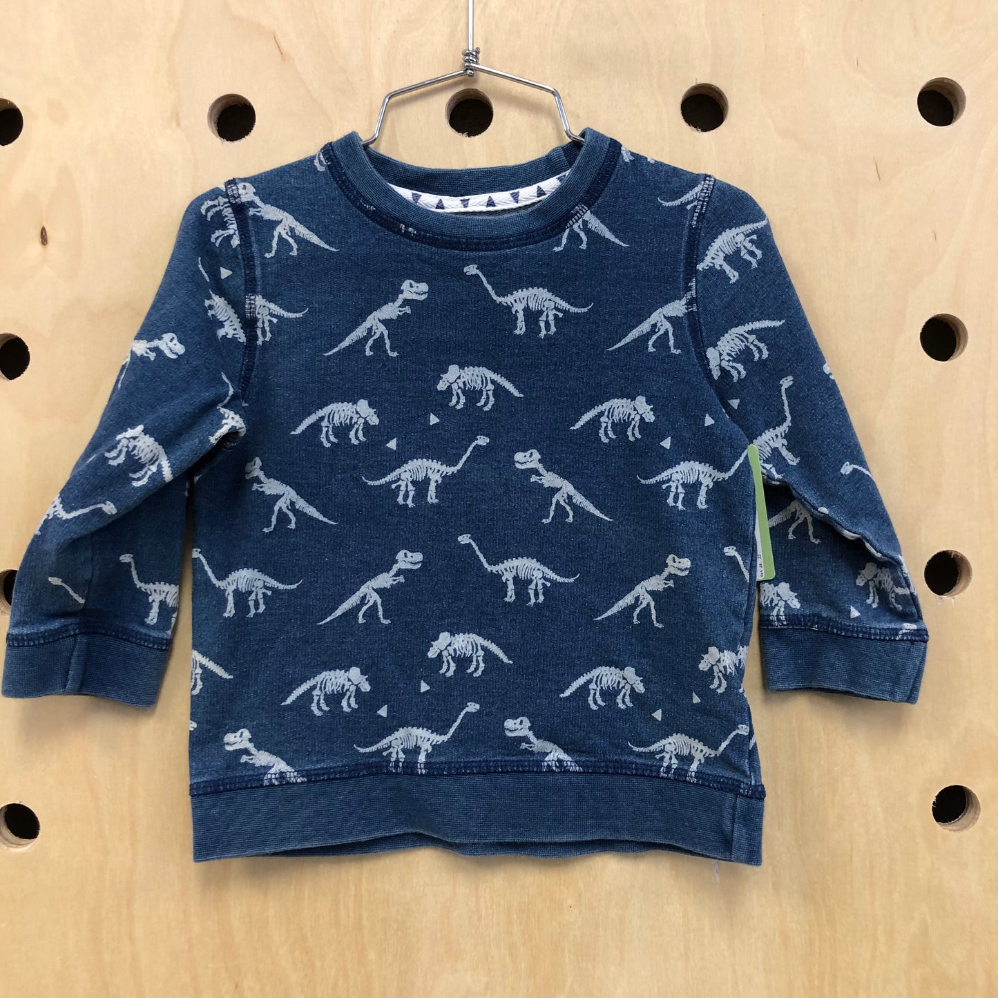 Blue Dino Sweatshirt