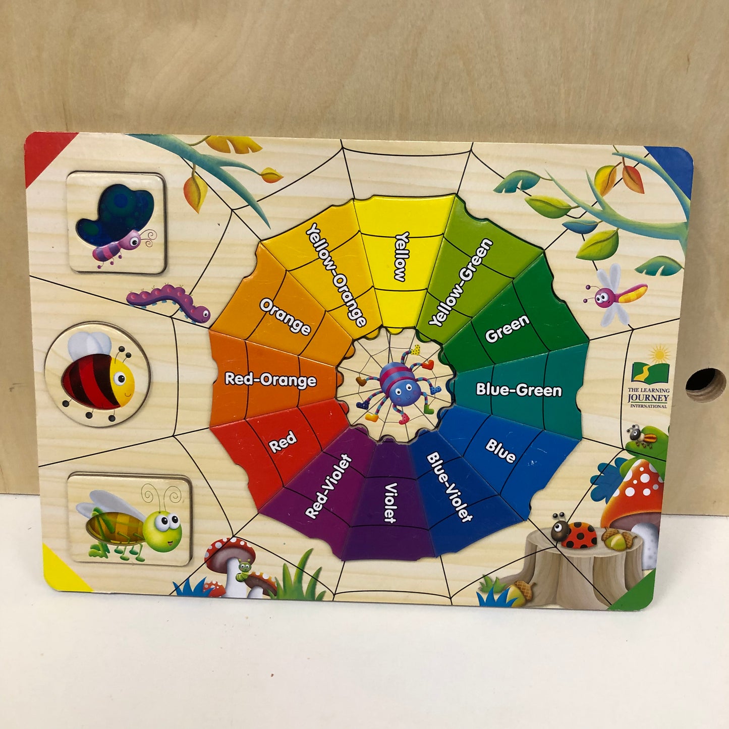 Color Web Puzzle
