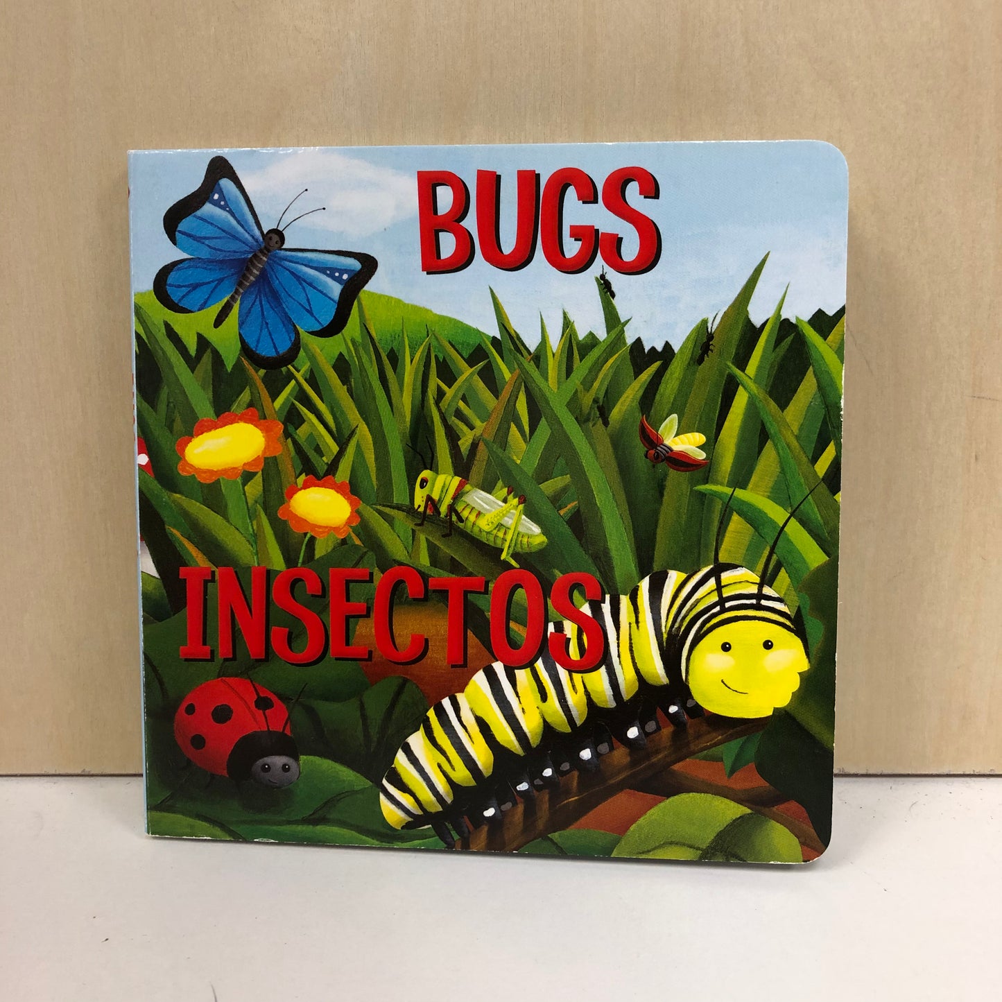 Bugs / Insectos