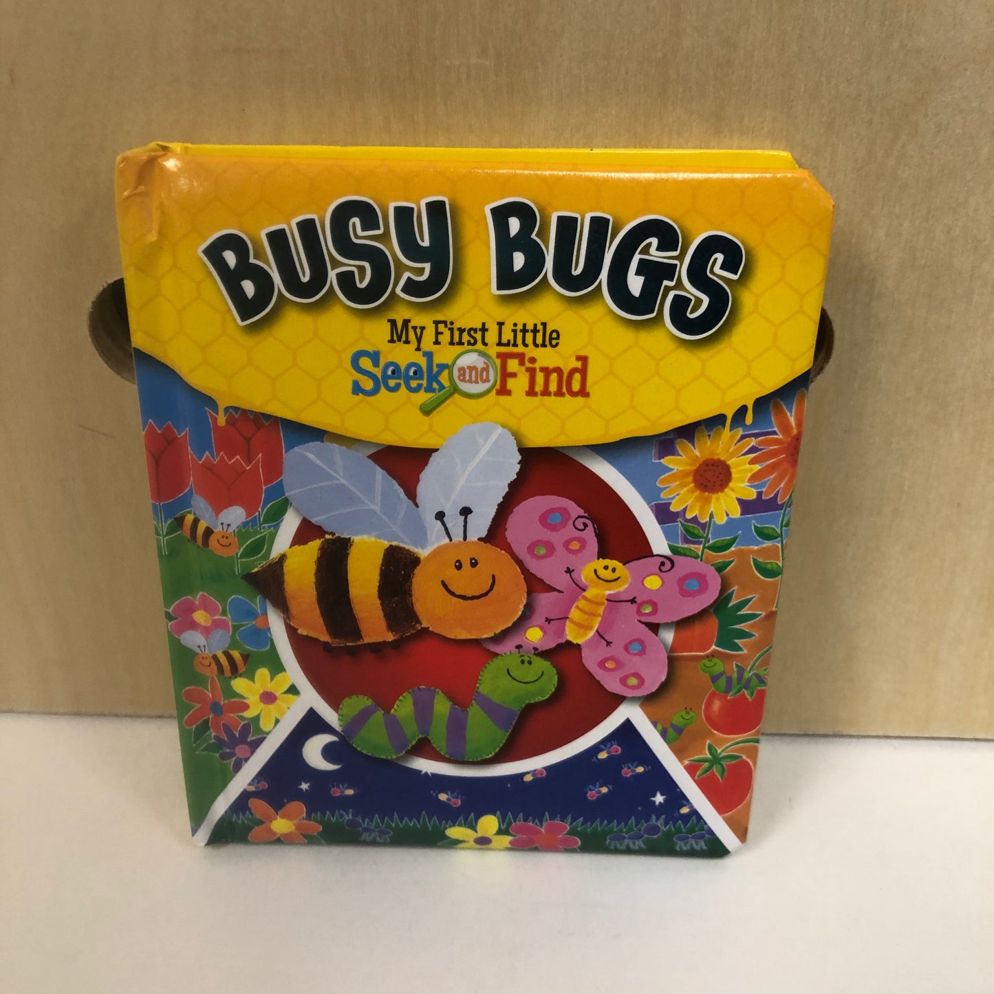 Busy Bugs Seek & Find