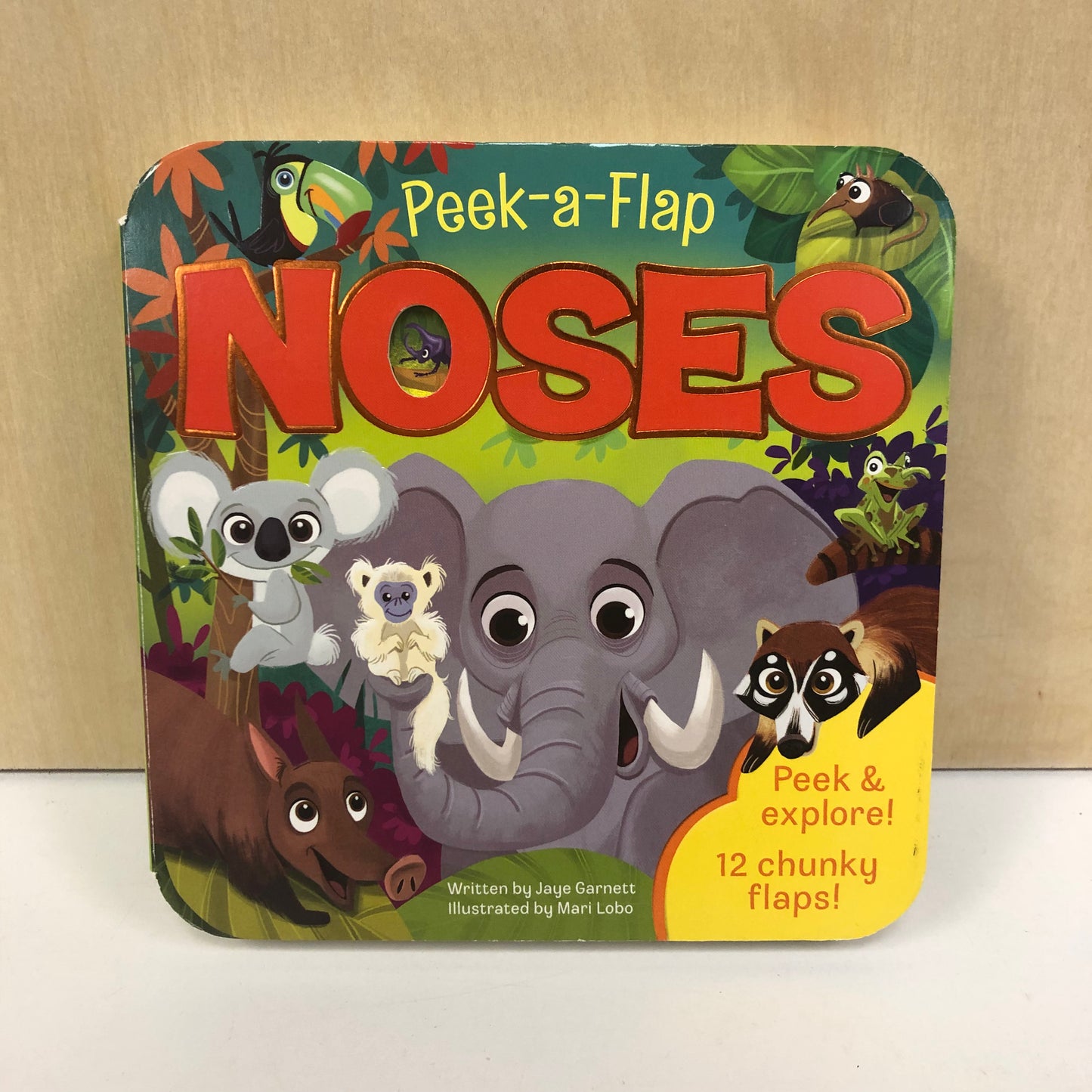 Peek-a-Flap Noses