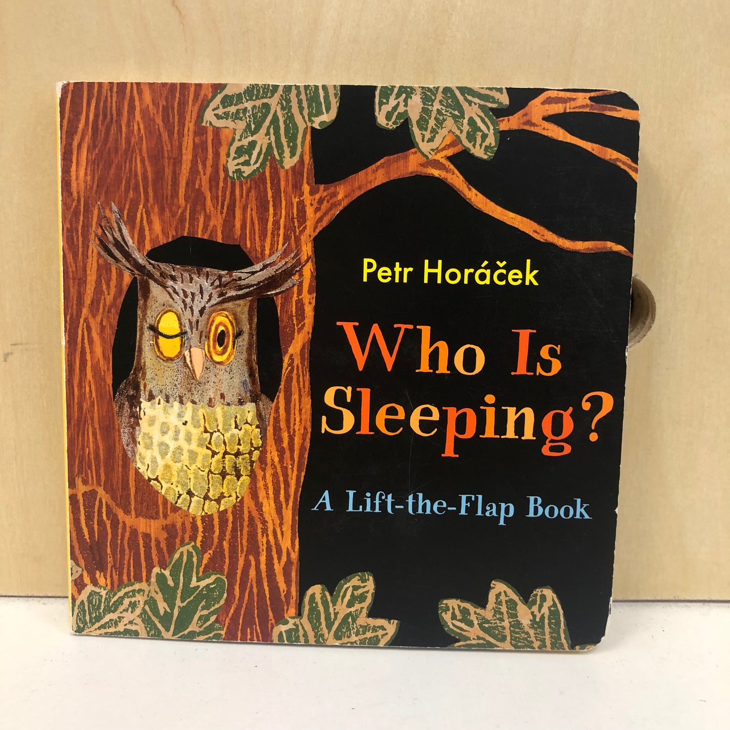 Who is Sleeping?