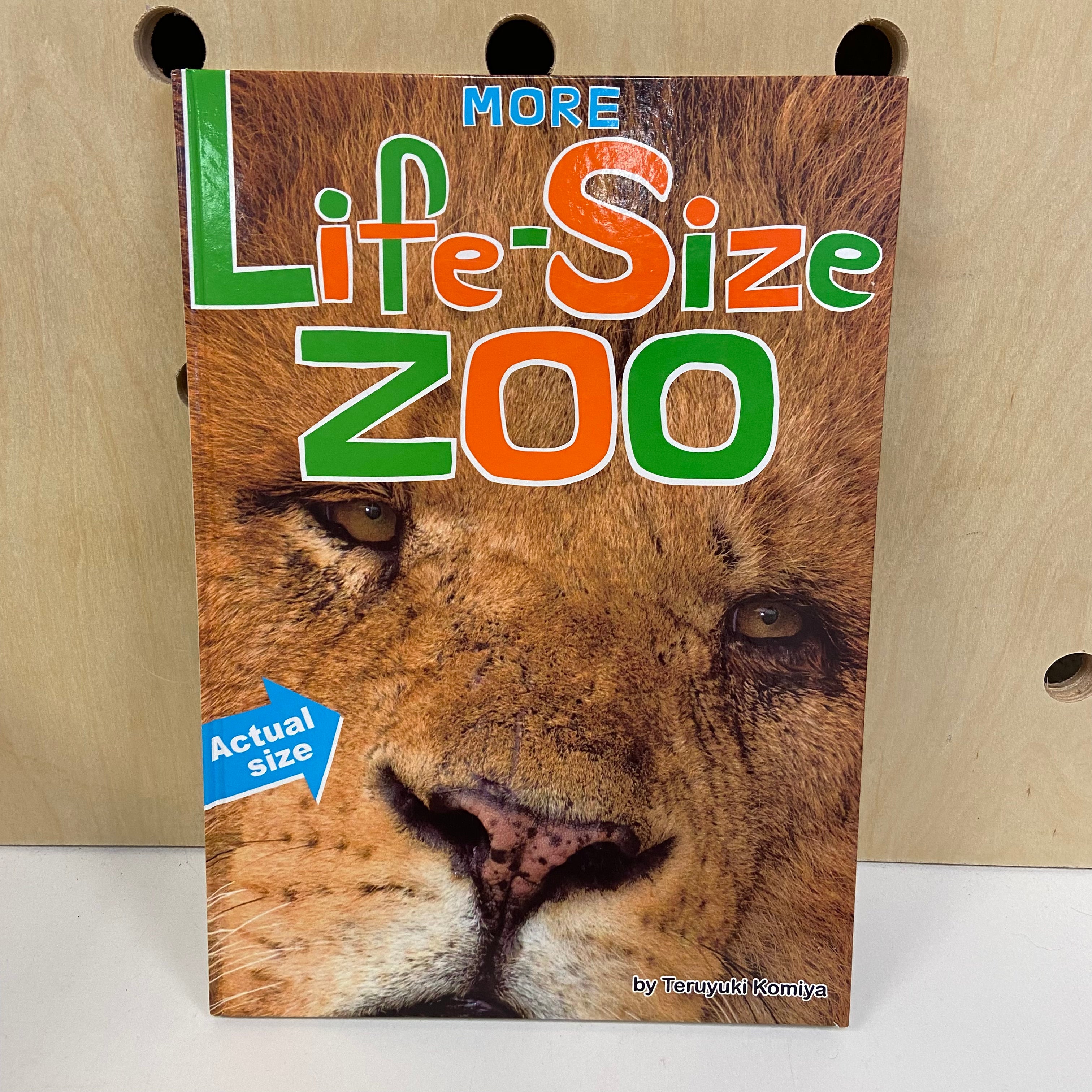 LifeSize Zoo Little Bird