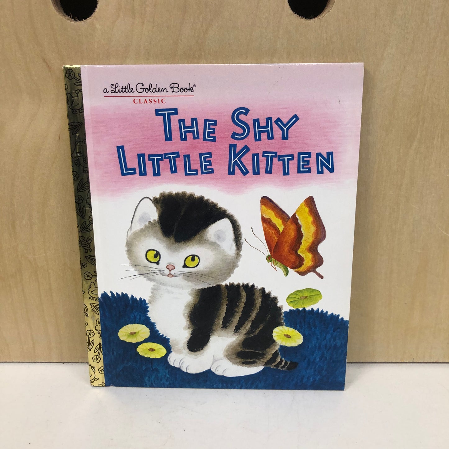 The Shy Little Kitten