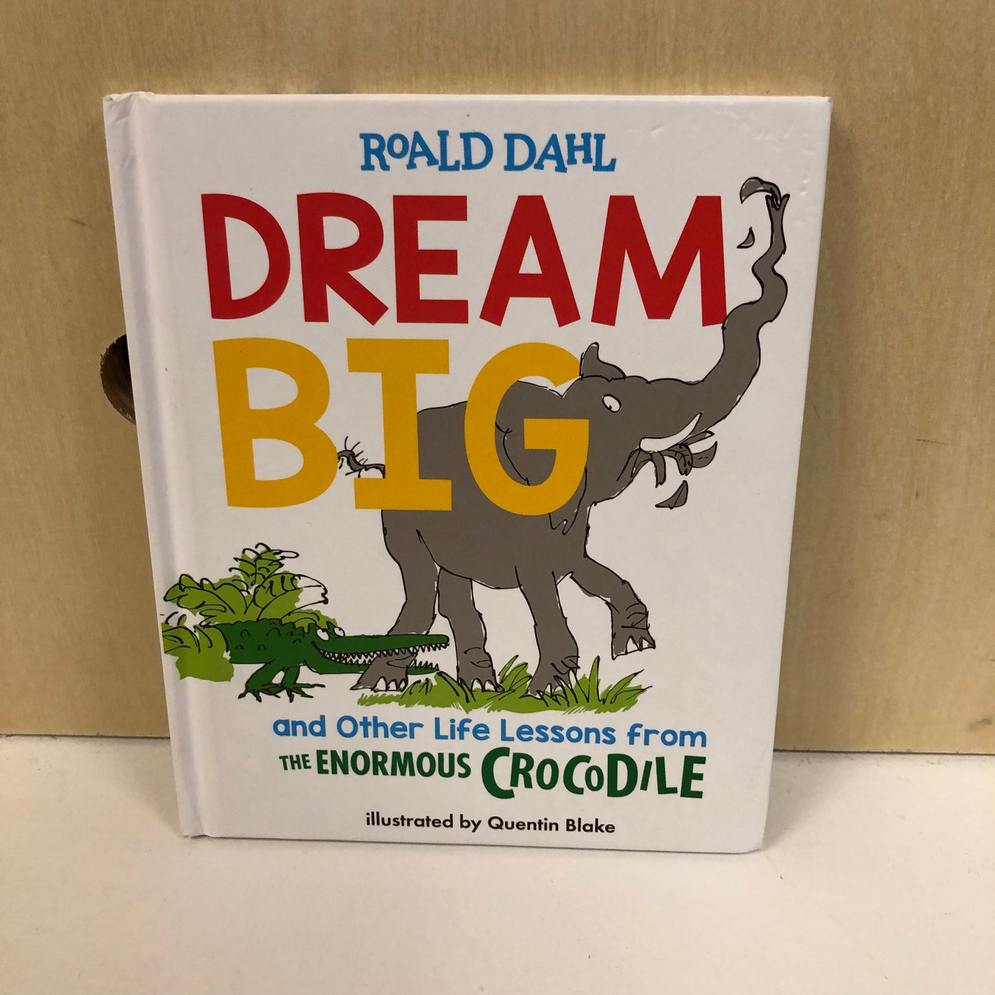 Dream Big