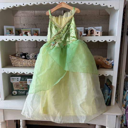 Princess Tiana Dress Up
