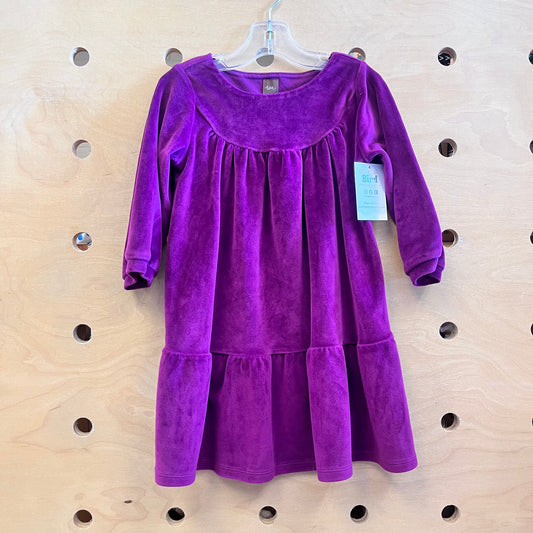 Plum Velour Dress