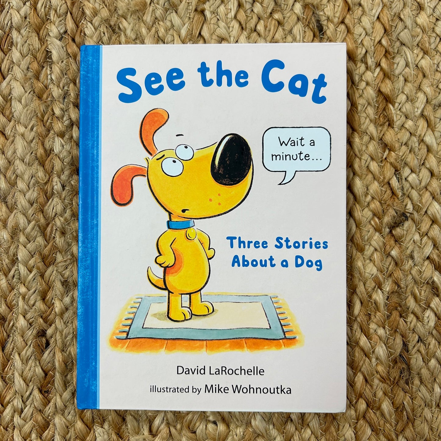 See the Cat: 3 Stories About a Dog