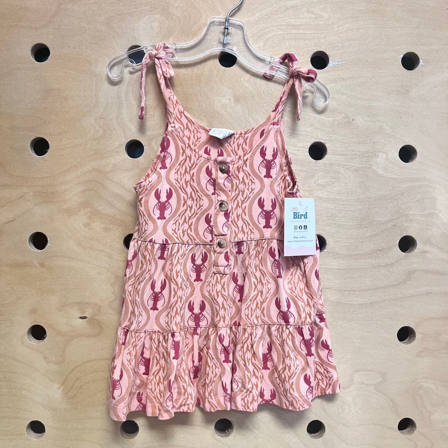 Pink/Red Lobster Tank