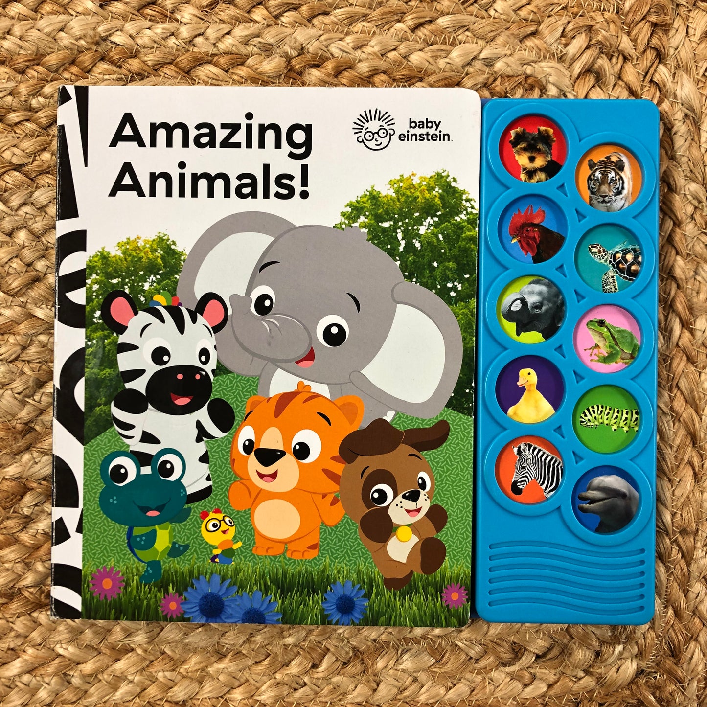 Amazing Animals! Book w/ Sound