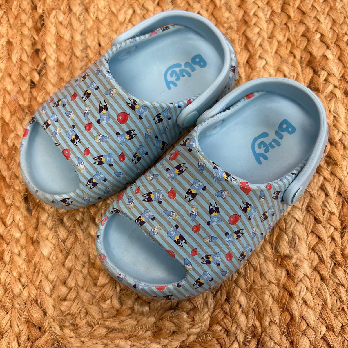 Bluey Slides
