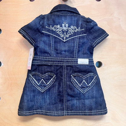 Embroidered Rodeo Soft Denim Dress
