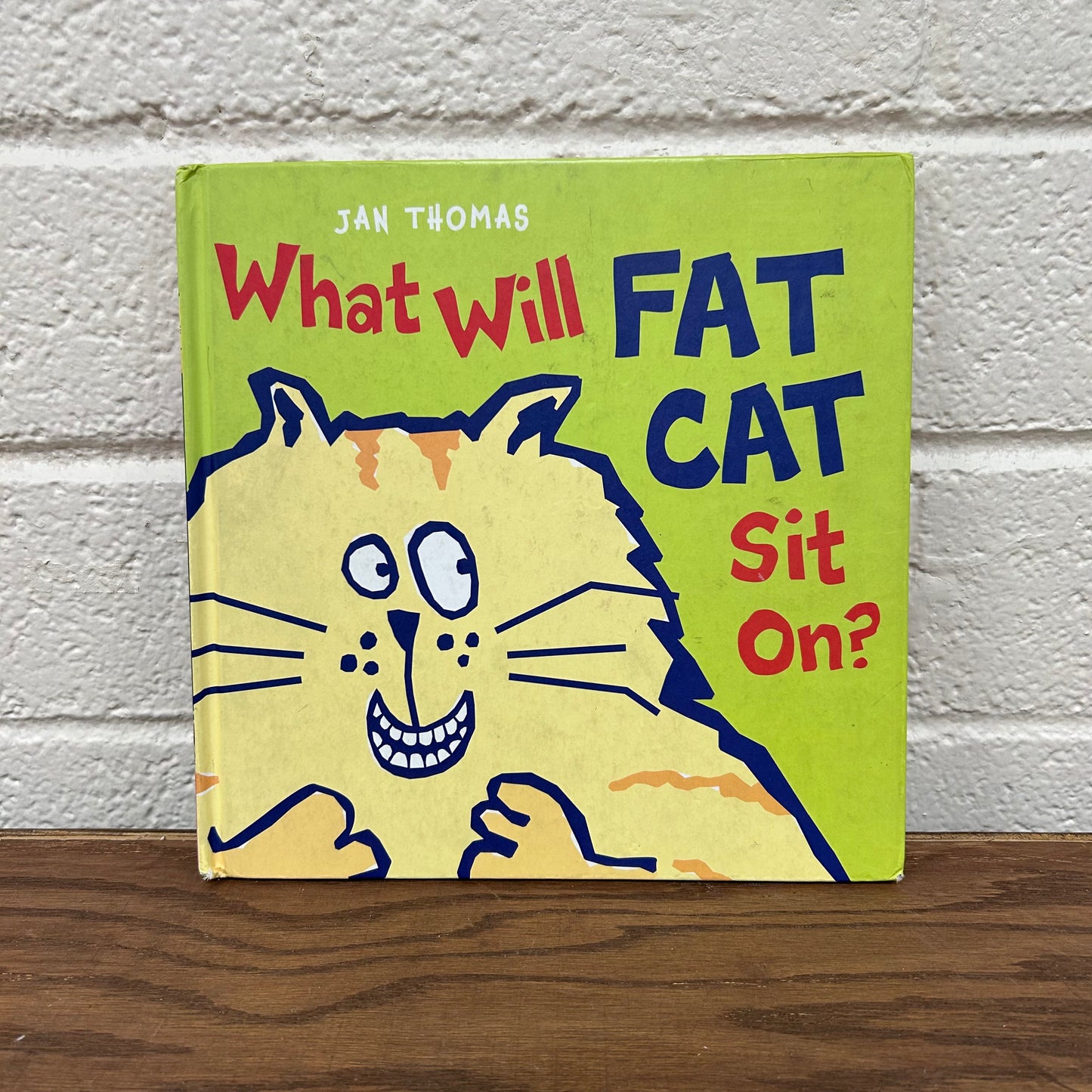 What Will Fat Cat Sit On?