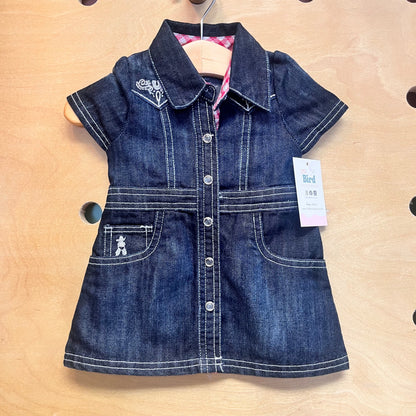 Embroidered Rodeo Soft Denim Dress