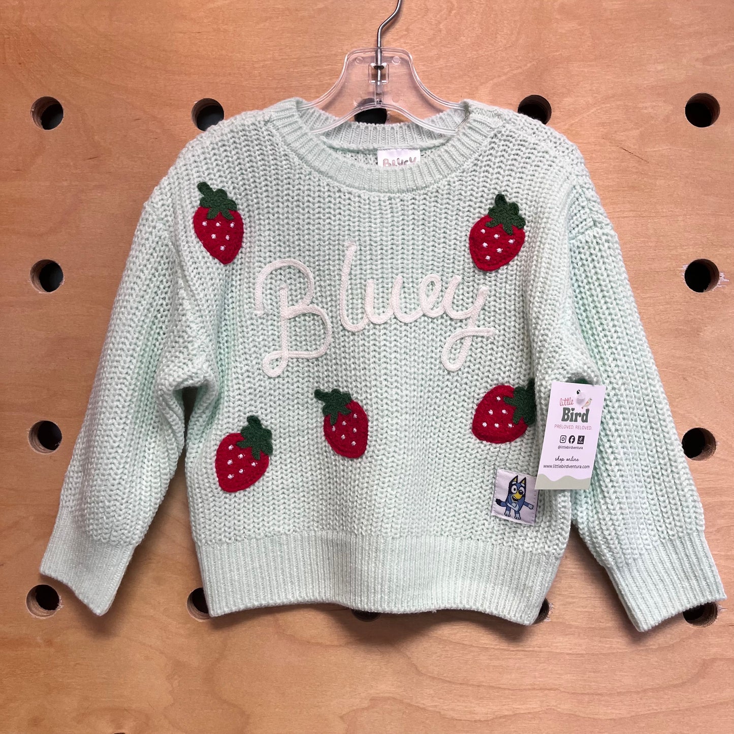 Mint Crochet Strawberries Bluey Sweater