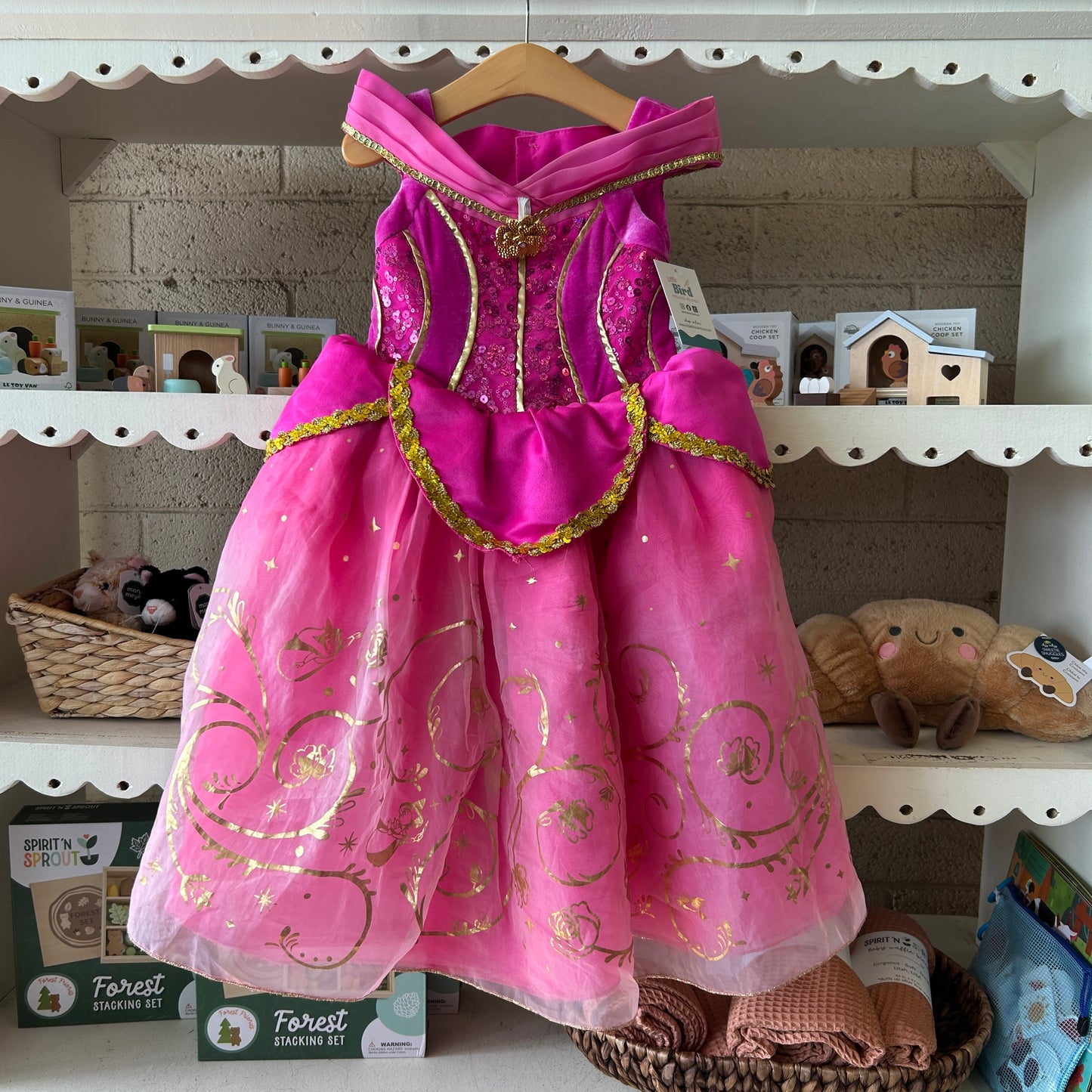Sleeping Beauty Dress Up