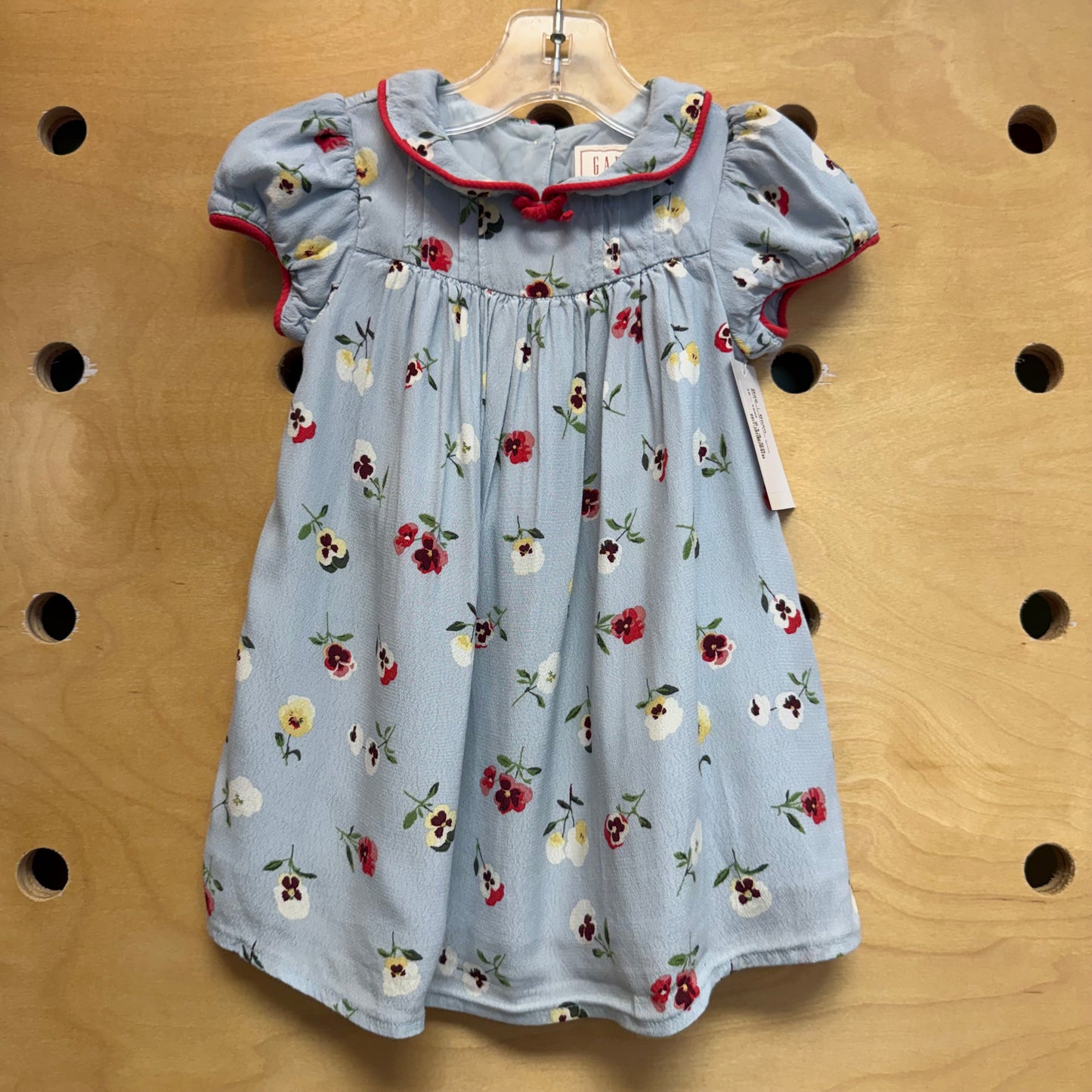 Blue Floral/Red Trim Dress