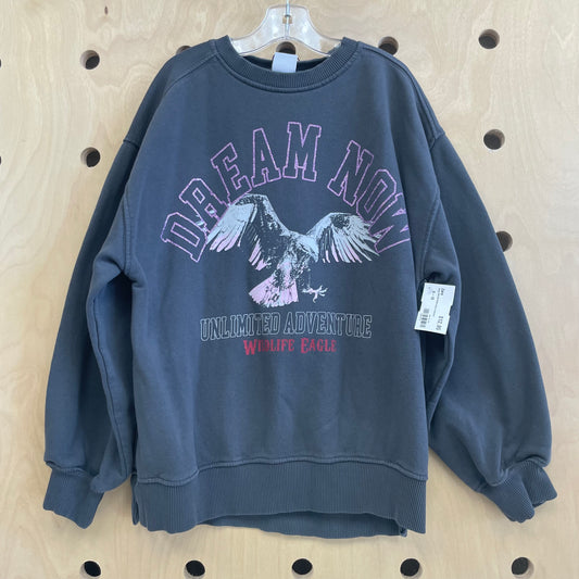Grey DREAM NOW Glitter Pullover