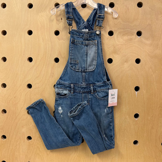Denim Distressed Overalls