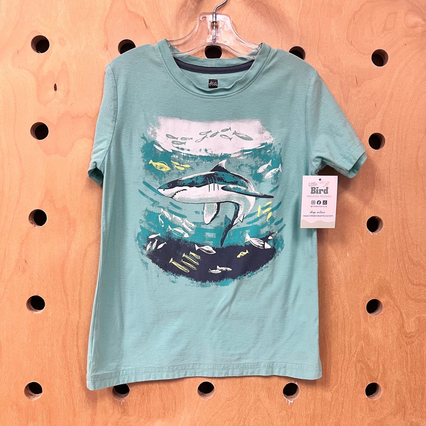 Cotton Aqua Shark Tee