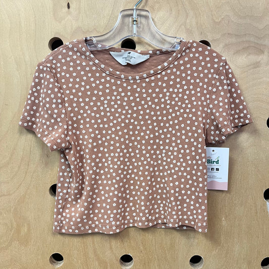 Brown+White Floral Ribbed Crop Top