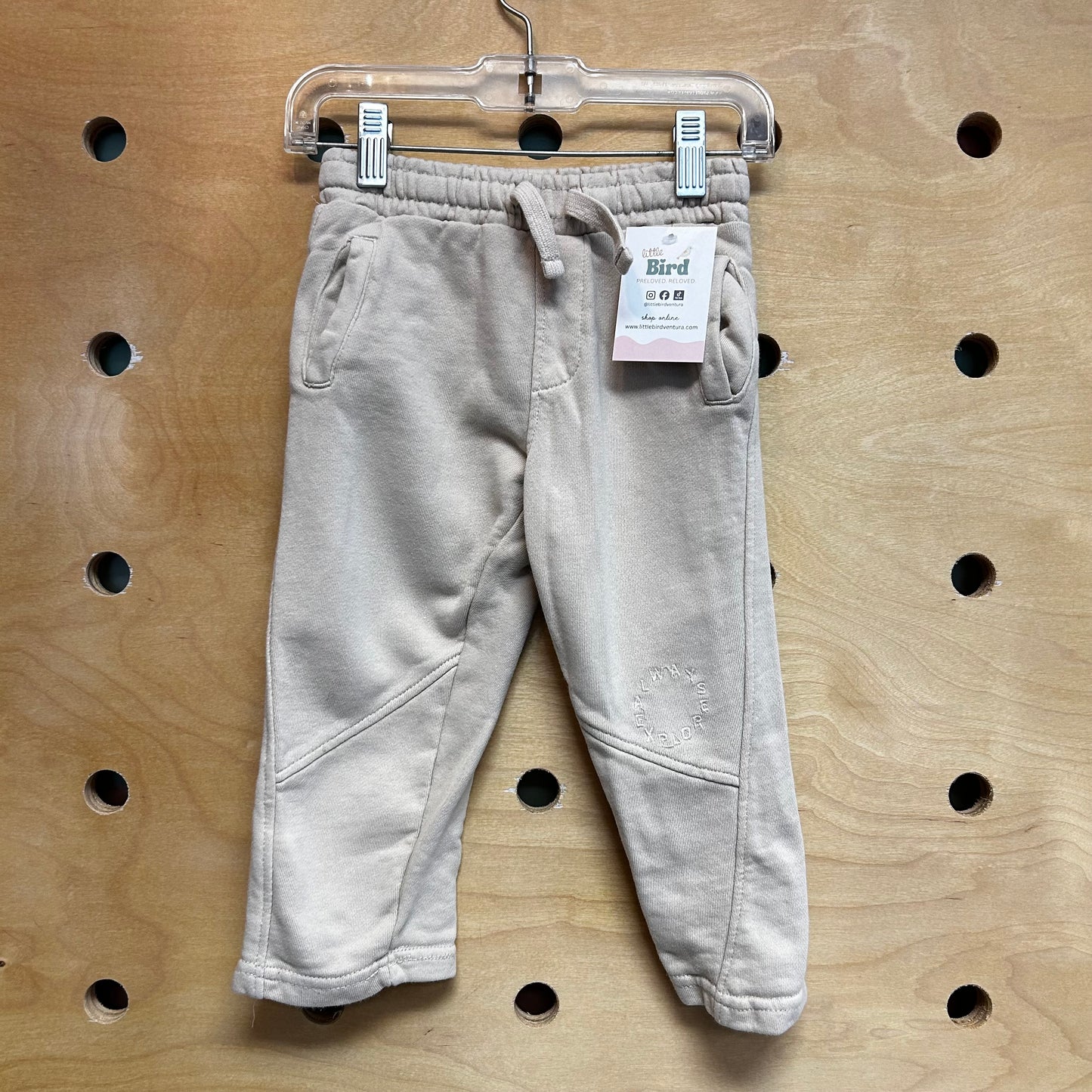 Beige Always Explore French Terry Pants