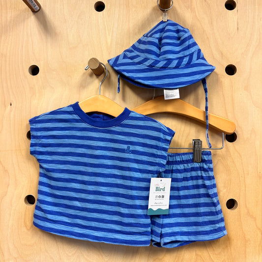 3pc. Blue Striped Outfit