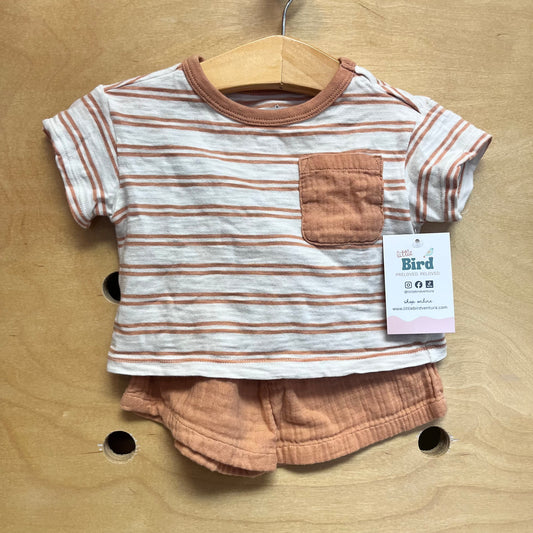 Brown/White Striped Outfit