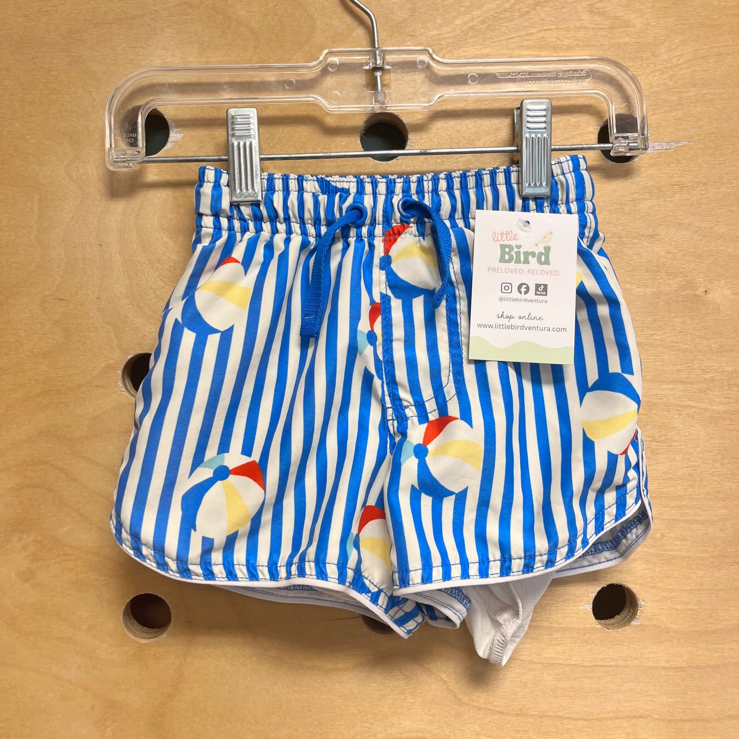 Blue Striped Beach Ball Swim Trunks