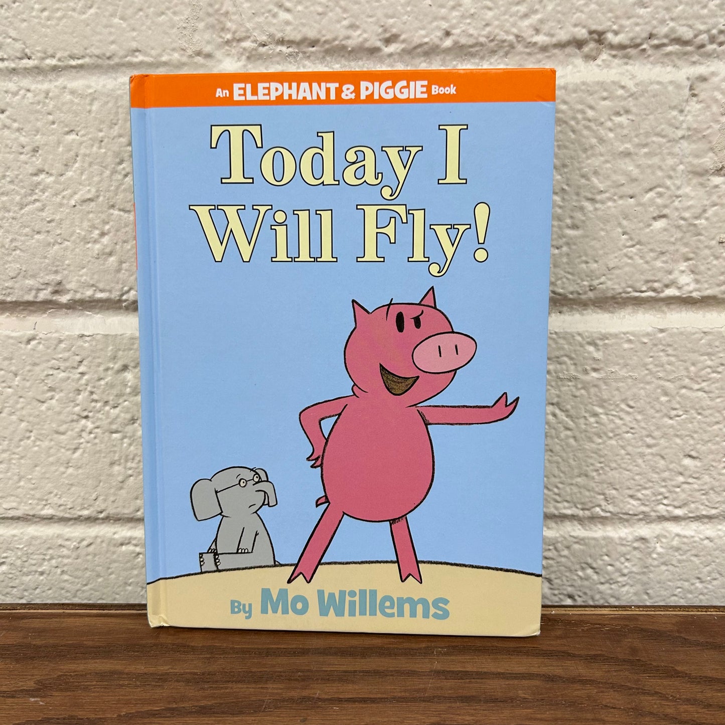 Today I Will Fly!