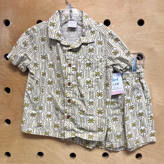 Organic Cream/Green Palms Outfit