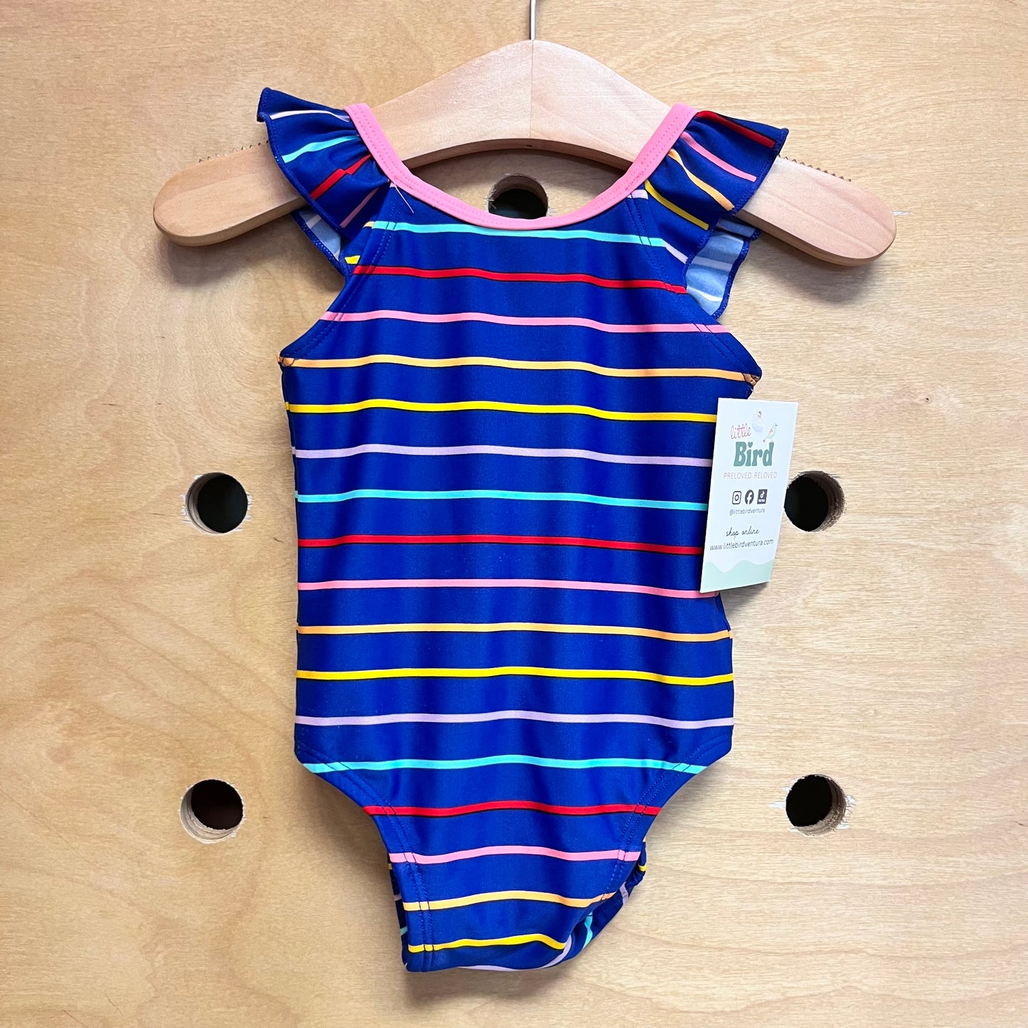 Blue/Pink Striped Swimsuit