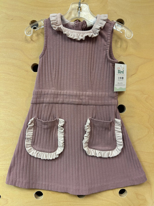 Organic Plum/Pink Ribbed Dress