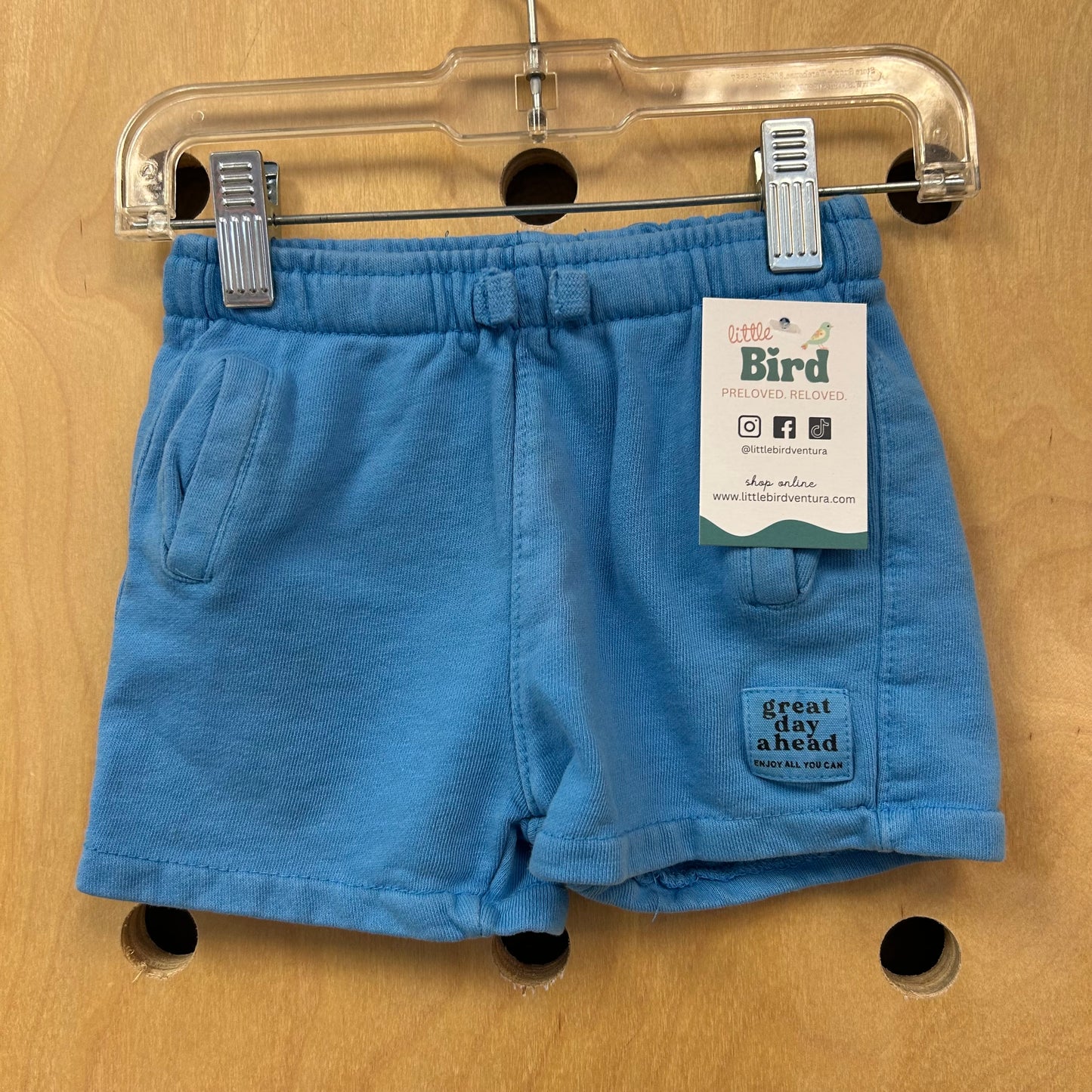 Blue Great Day Drawstring Shorts