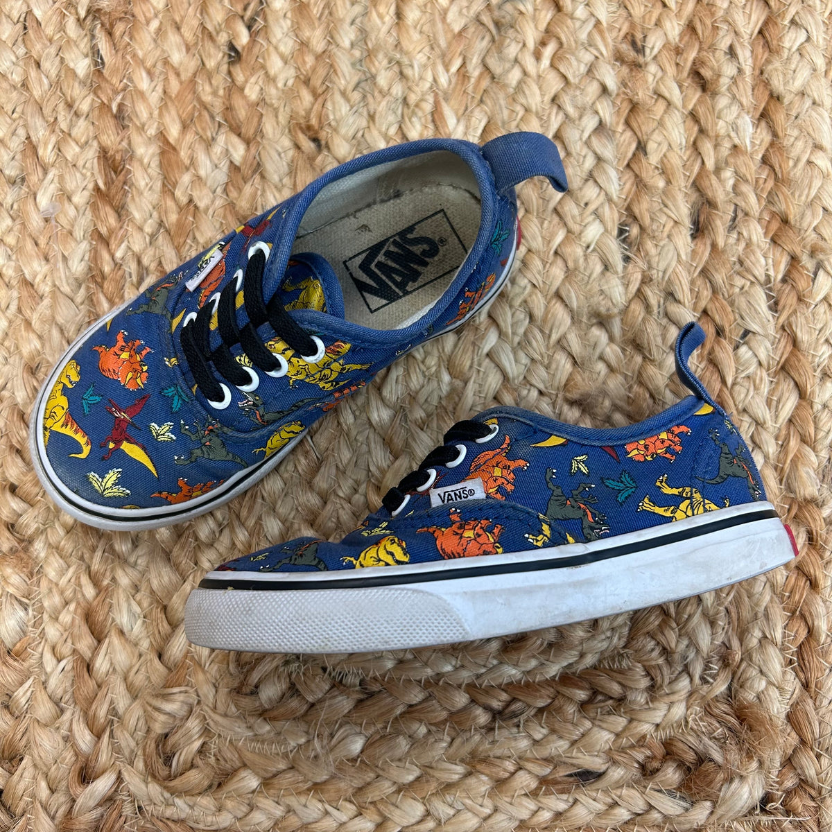 Blue Dino Slip Ons