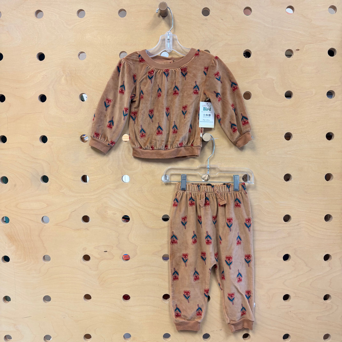 Brown Velour Tulips Outfit