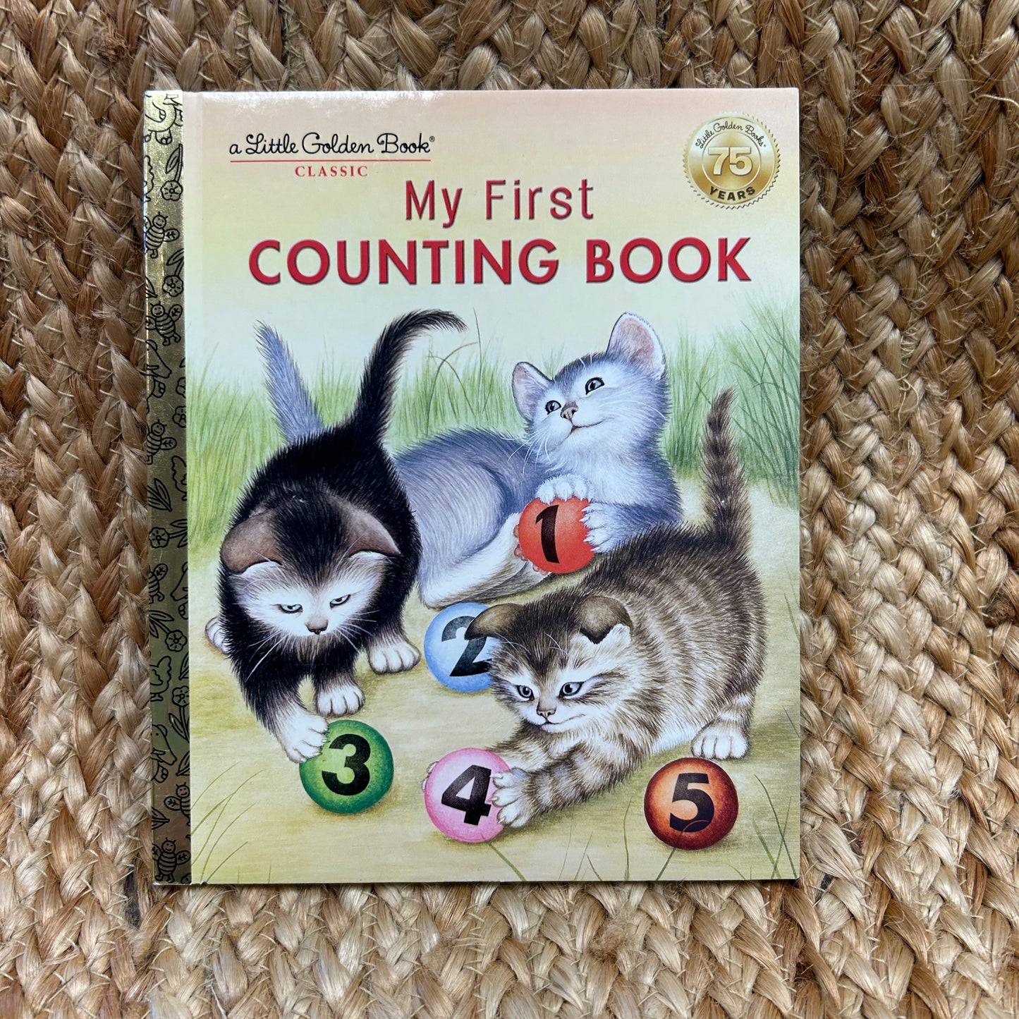 My First Counting Book