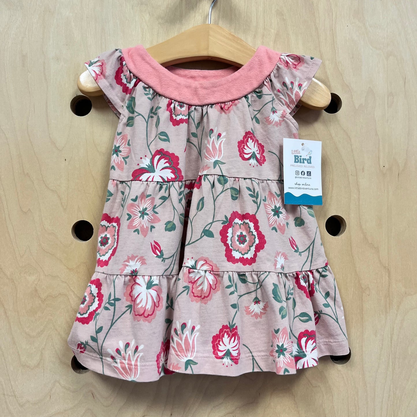 Pink/Green Floral Cotton Dress