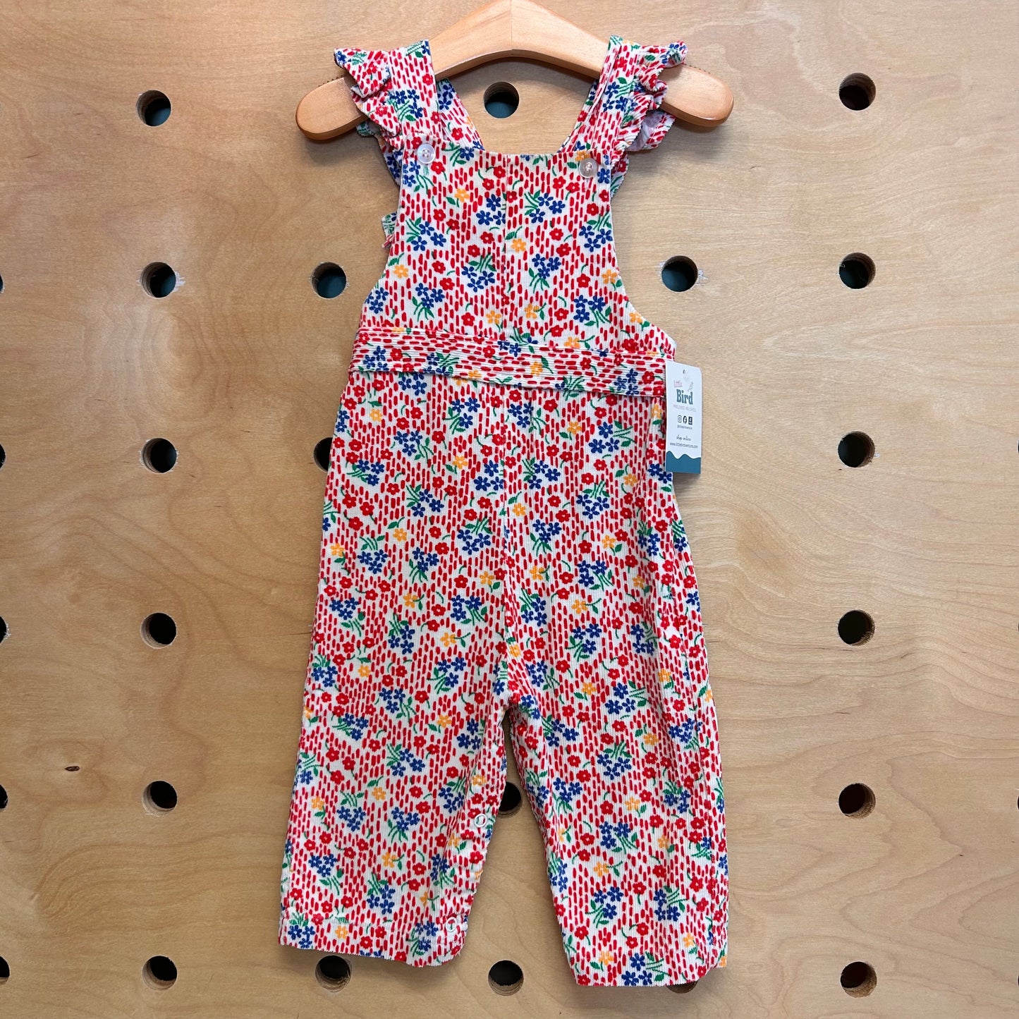 Health-Tex Red Floral Overalls