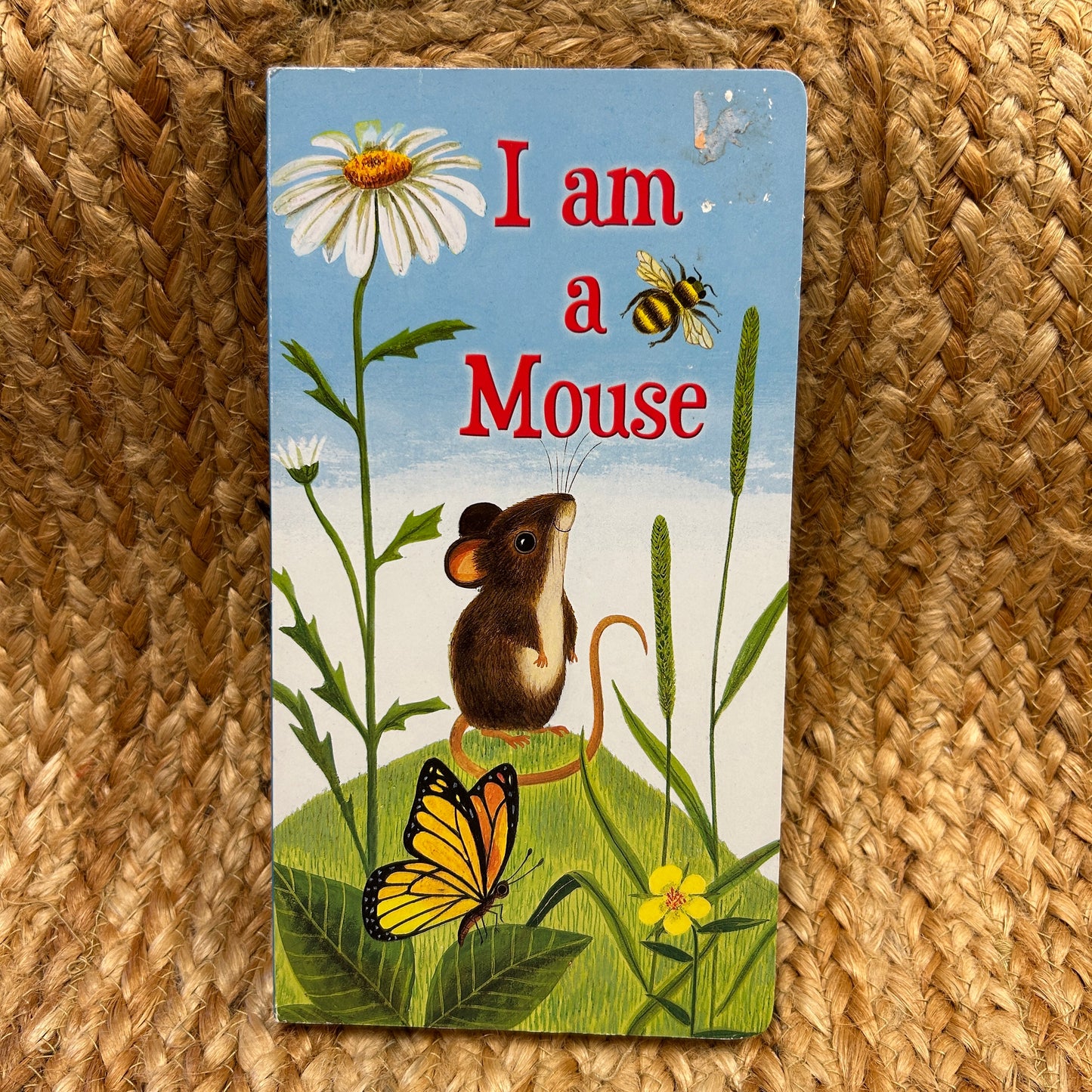 I Am a Mouse