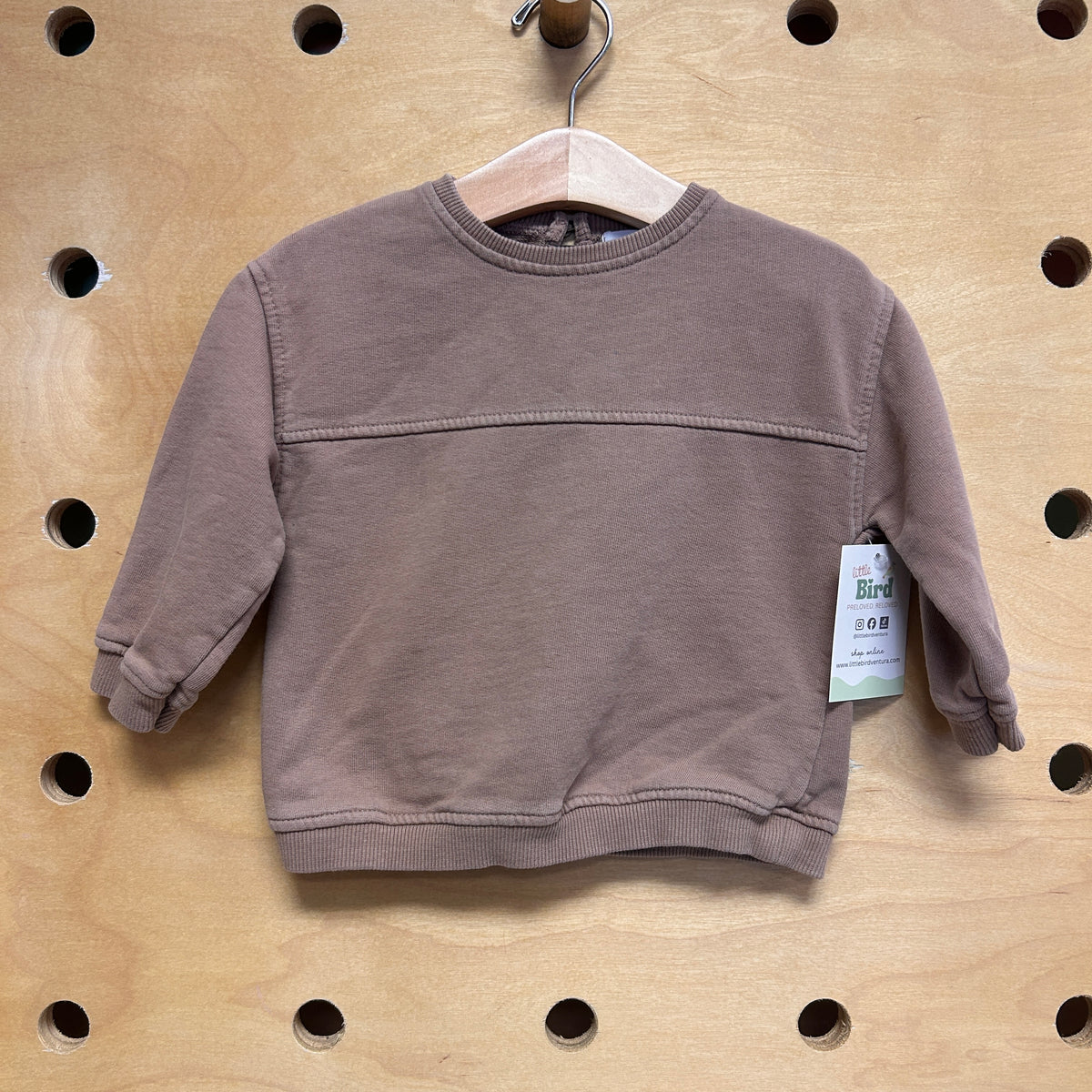 Earthy Brown Pullover