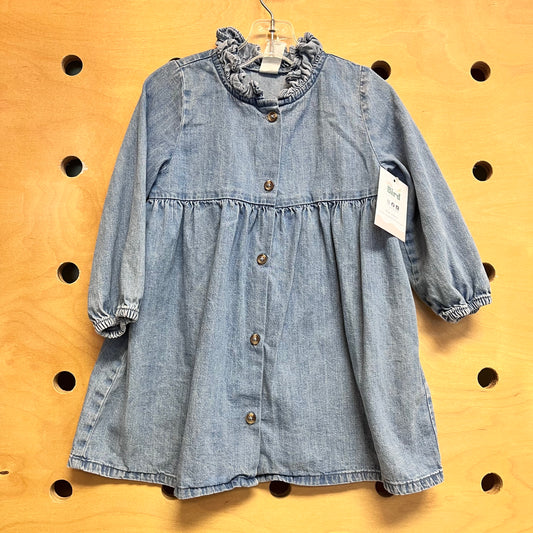 Soft Denim Front Buttons Dress