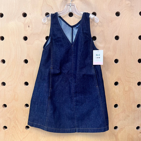 Dark Denim Dress