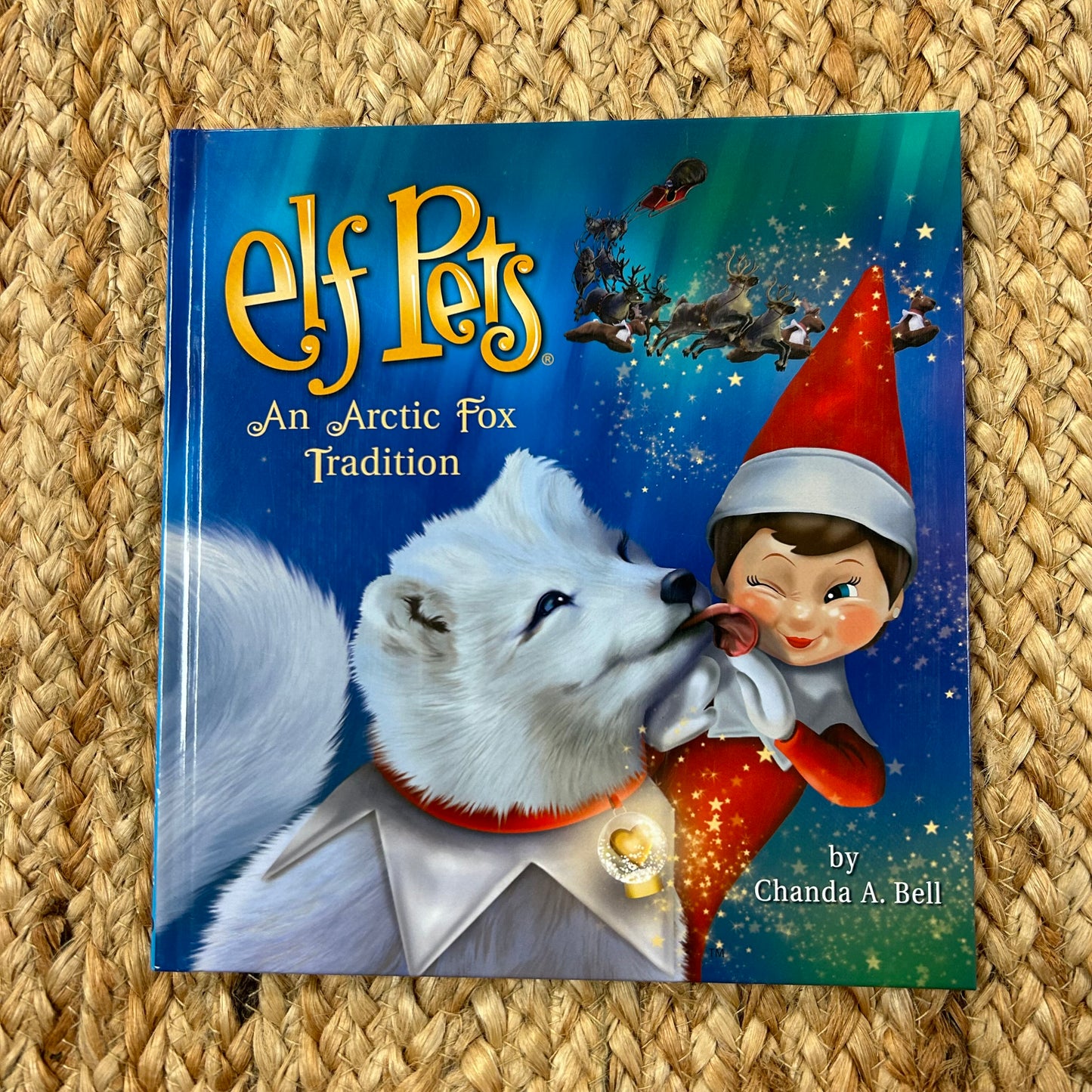 Elf Pets: An Arctic Fox Tradition