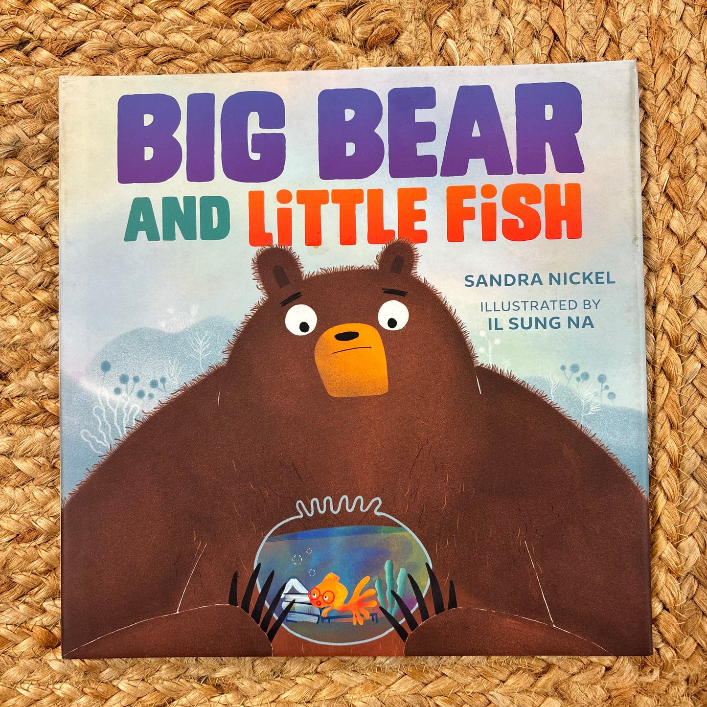 Big Bear and Little Fish