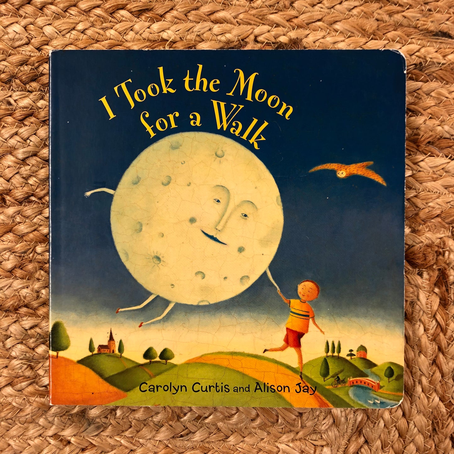 I Took the Moon for a Walk