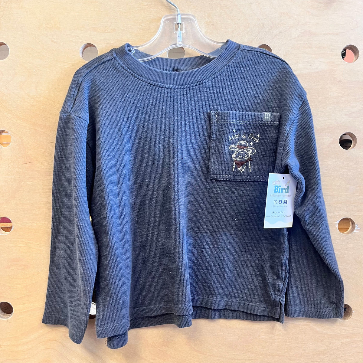 Grey Embroider Wild & Free LS