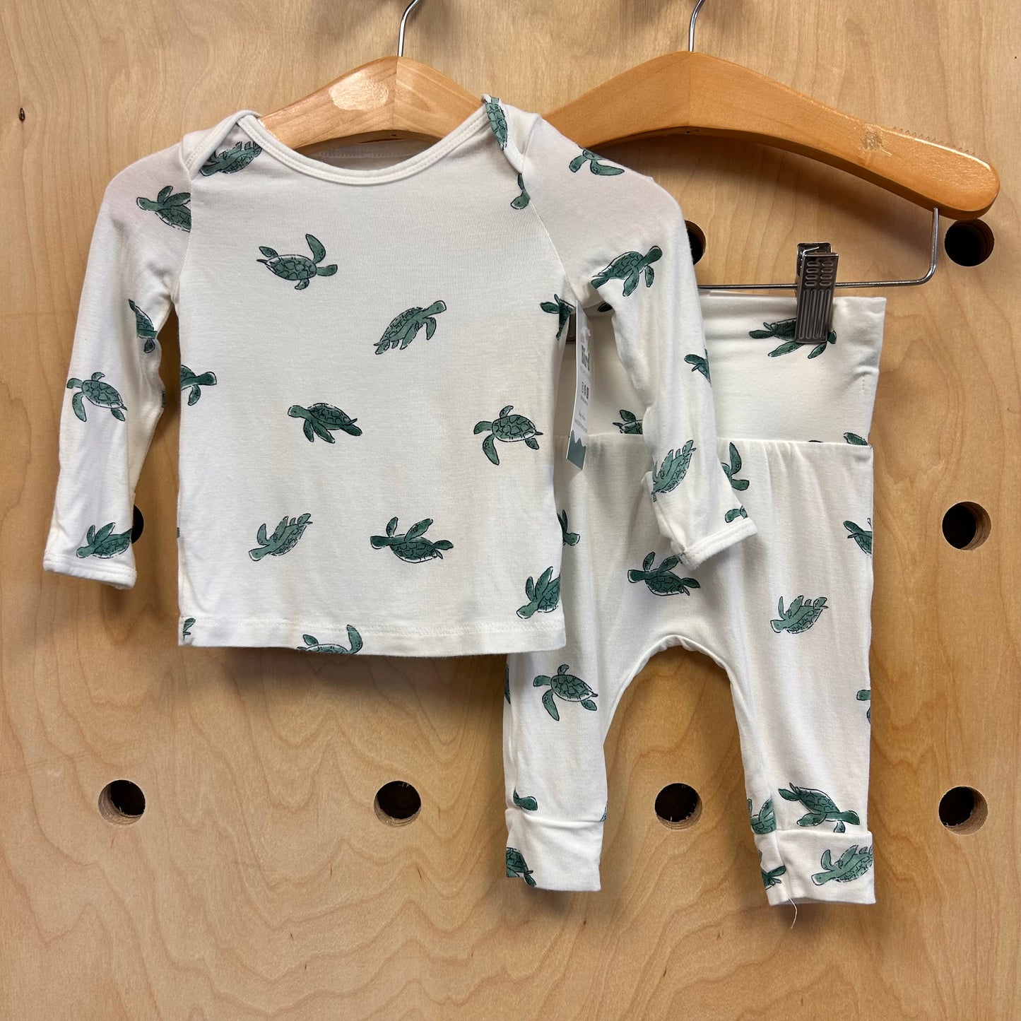 White/Green Turtle Outfit