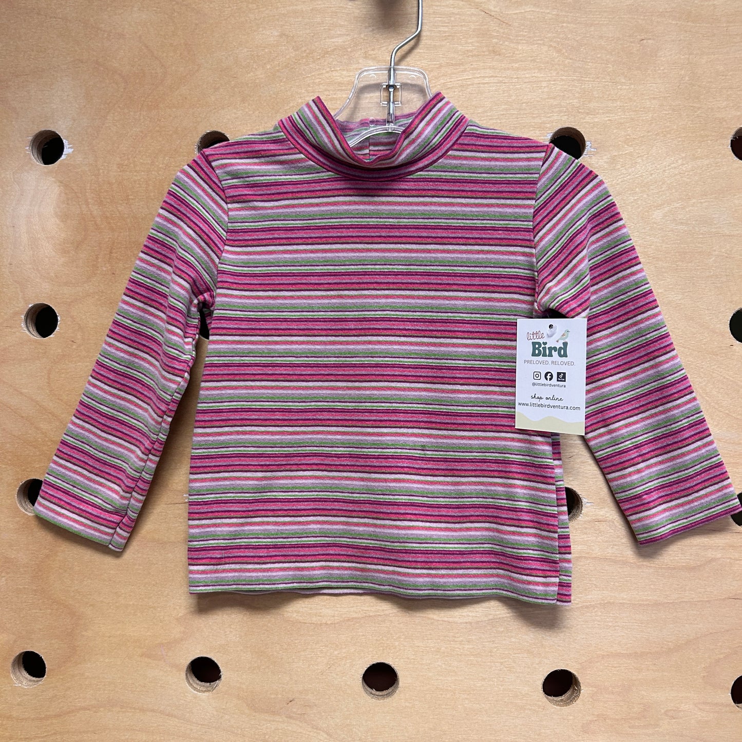 Pink/Green Striped Turtle Neck